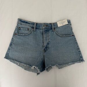 Abercrombie & Fitch 90s Cutoff Blue Jean Shorts